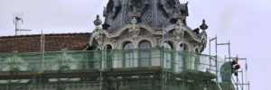 scaffold netting